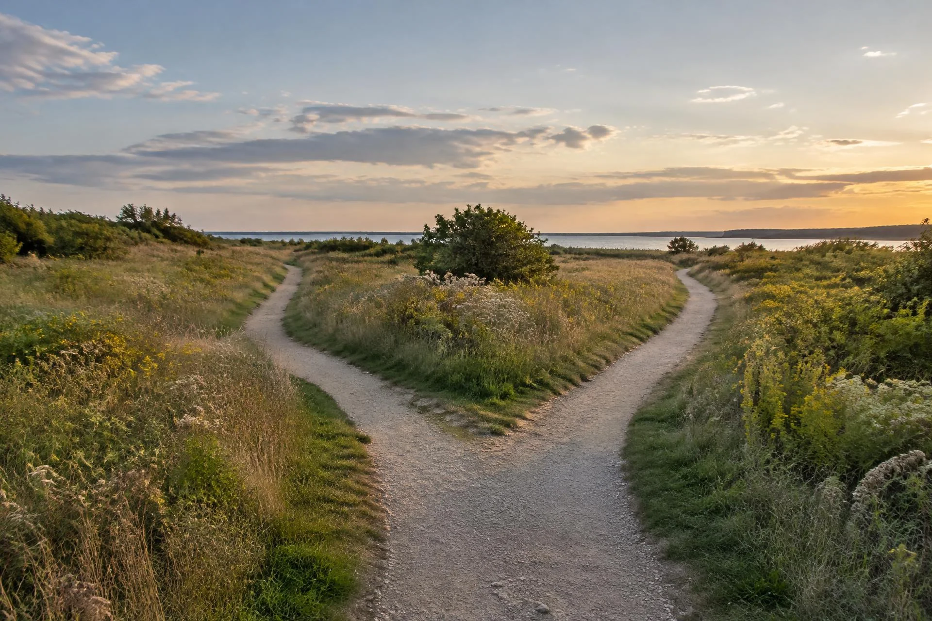 Two coastal trails representing individualized withdrawal support and care choices.